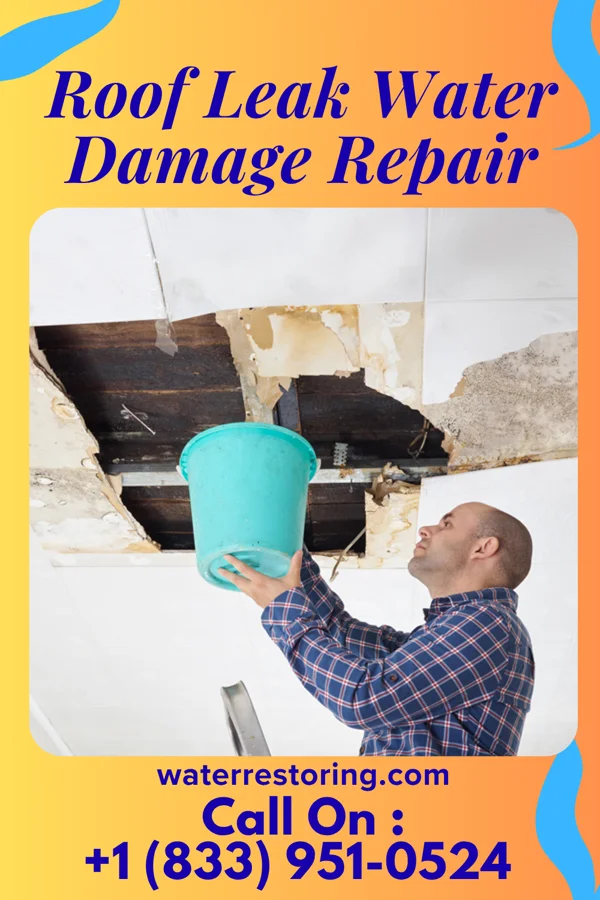 Roof Leak Water Damage Repair in Calvert, TX